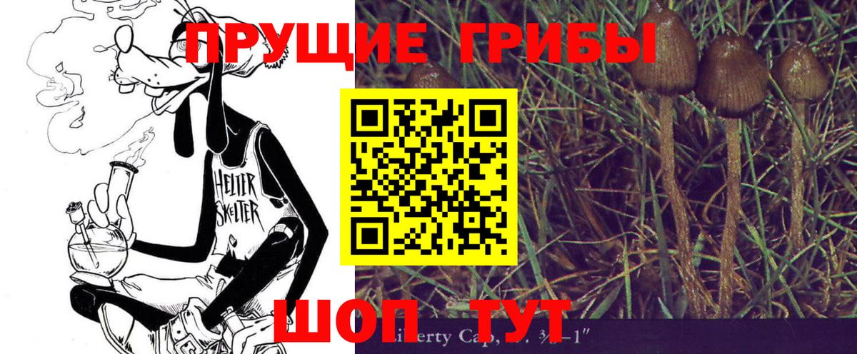 Галлюциногенные грибы Psilocybe Кызыл