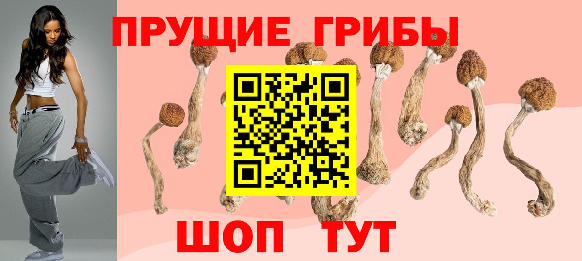 Галлюциногенные грибы мицелий  Вход с VPN  Кызыл 